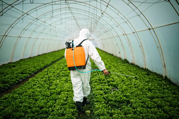 Best Pest Control Near Me  in King City, CA