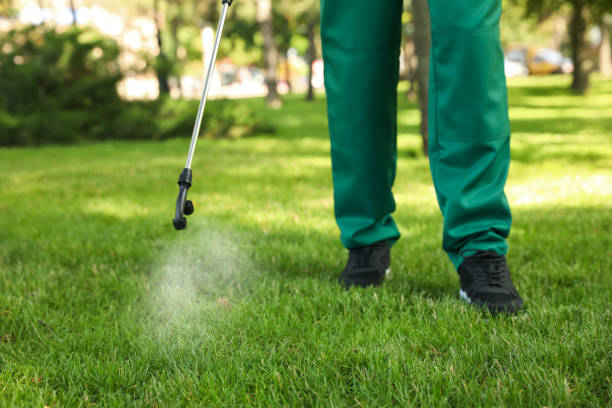 Best Exterminator Services  in King City, CA