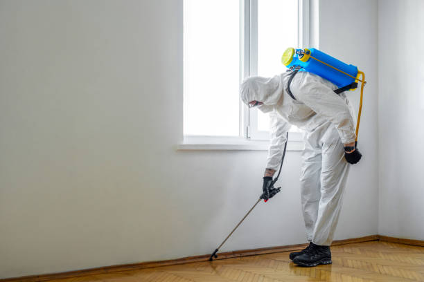 Best Flea Control Services  in King City, CA