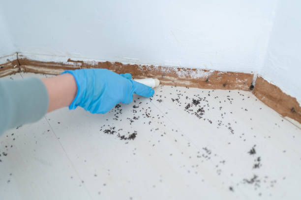 Best Commercial Pest Control Services  in King City, CA