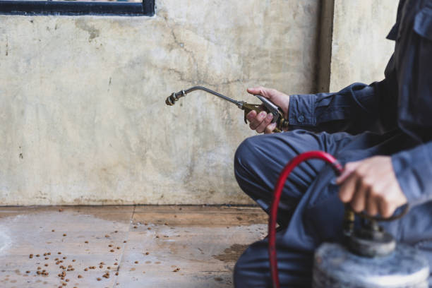 Best Pest Control Treatment  in King City, CA